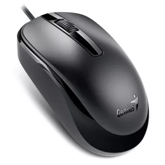 Genius DX-120 Myš, drôtová, optická, 1200DPI, 3 tlačidlá, USB-C, čierna