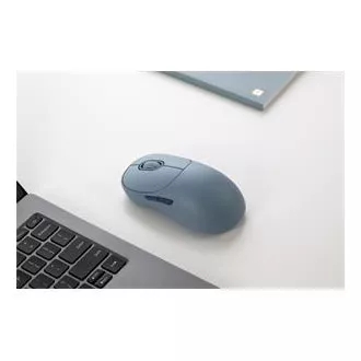 Xiaomi Wireless Mouse Lite 2 Black GL