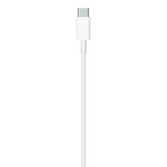 USB-C to Lightning Cable (2 m) / SK