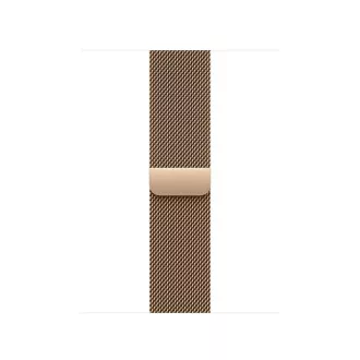 Watch Acc/42/Gold Milanese Loop