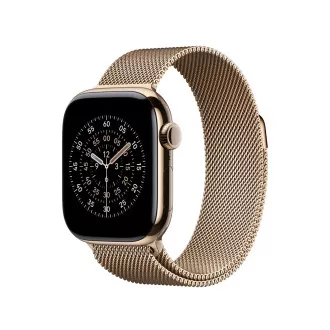 Watch Acc/42/Gold Milanese Loop