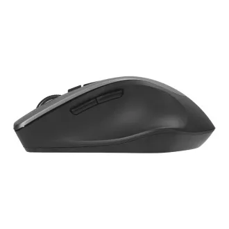 ASUS WT425/Ergonomická/Optická/Pre pravákov/1 600 DPI/Bezdrôtové USB/Šedá