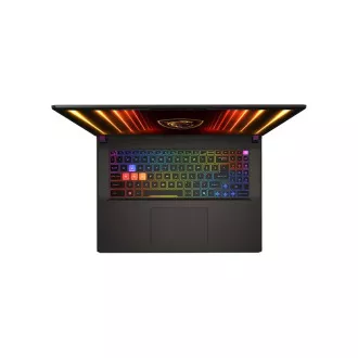 MSI Vector/17 HX AI A2XWJG-031SK/U9-275HX/17"/2560x1600/32GB/2TB/RTX 5090/W11H/Gray/2R