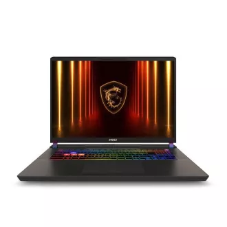 MSI Vector/17 HX AI A2XWHG-035SK/U9-275HX/17"/2560x1600/32GB/2TB/RTX 5070Ti/W11H/Gray/2R