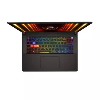 MSI Vector/17 HX AI A2XWHG-035SK/U9-275HX/17"/2560x1600/32GB/2TB/RTX 5070Ti/W11H/Gray/2R