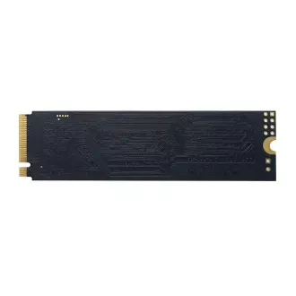 PATRIOT P300/1TB/SSD/M.2 NVMe/5R