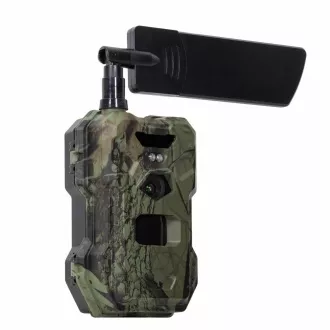 EVOLVEO StrongVision MINI 4G, fotopasca/bezpečnostná kamera EVOLVEO StrongVision MINI 4G, fotopasca/bezpečnostná kamera