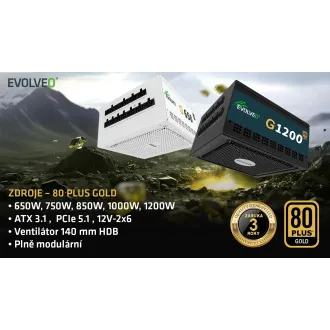 EVOLVEO G750,750W,ATX3.1,14cm,aPFC,80+GOLD,3YRW