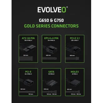 EVOLVEO G750,750W,ATX3.1,14cm,aPFC,80+GOLD,3YRW
