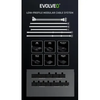 EVOLVEO G750,750W,ATX3.1,14cm,aPFC,80+GOLD,3YRW