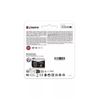 Kingston Canvas Go Plus/SDXC/256 GB/UHS-I U3 / Class 10