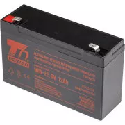 Akumulátor T6 Power NP6-12, 6V, 12Ah, F2