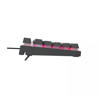 Genesis herná mechanická klávesnica THOR 303/TKL/RGB/Outemu Peach Silent/Drôtová USB/US layout/Čierna