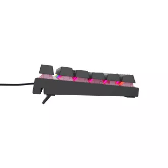 Genesis tichá herná klávesnica THOR 303/TKL/RGB/Outemu Peach/Drôtová USB/SK-SK layout/Čierna