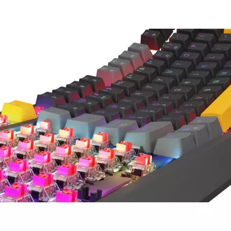Genesis herná klávesnica THOR 230/TKL/RGB/Outemu Red/Drôtová USB/US layout/Anchor Positive Šedá