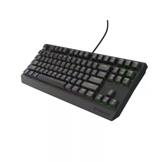 Genesis herná klávesnica THOR 230/TKL/RGB/Outemu Brown/Drôtová USB/US layout/Čierna