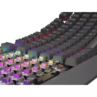 Genesis herná klávesnica THOR 230/TKL/RGB/Outemu Brown/Drôtová USB/US layout/Čierna