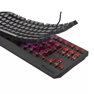 Genesis herná klávesnica THOR 230/TKL/RGB/Outemu Brown/Drôtová USB/US layout/Čierna