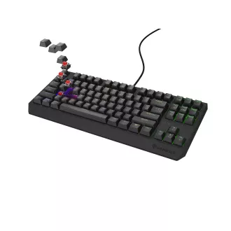 Genesis herná klávesnica THOR 230/TKL/RGB/Outemu Red/Drôtová USB/US layout/Čierna