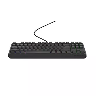 Genesis herná klávesnica THOR 230/TKL/RGB/Outemu Red/Drôtová USB/US layout/Čierna