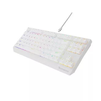 Genesis herná klávesnica THOR 230/TKL/RGB/Outemu Red/Drôtová USB/US layout/Biela