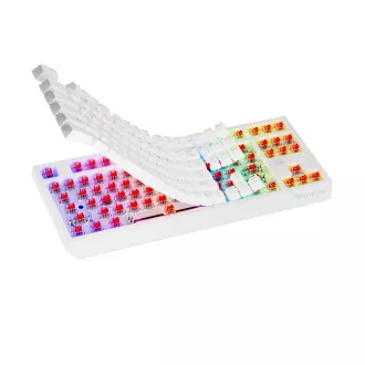 Genesis herná klávesnica THOR 230/TKL/RGB/Outemu Red/Drôtová USB/US layout/Biela
