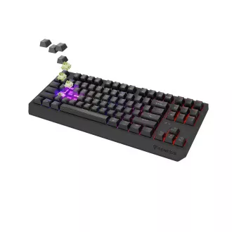 GENESIS herná klávesnica THOR 230/TKL/RGB/Outemu Silent Lemon/Bezdrôtová USB + Bluetooth/US layout/Č