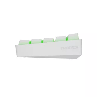 Genesis herná klávesnica THOR 660 G2/Gateron Red/USB+BT/US layout/Biela