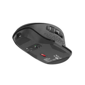 Natec optická myš FALCON/Kancelárska/Optická/Pre pravákov/3 200 DPI/Bezdrôtové Bluetooth/Čierna