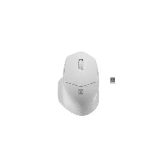 Natec optická myš SISKIN 2/Kancelárska/Optická/Pre pravákov/1 600 DPI/USB+BT/Biela