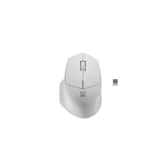 Natec optická myš SISKIN 2/Kancelárska/Optická/Pre pravákov/1 600 DPI/USB+BT/Biela Natec optická myš SISKIN 2/Kancelárska/Optická/Pre pravákov/1 600 DPI/USB+BT/Biela