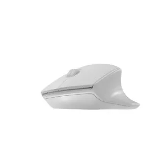 Natec optická myš SISKIN 2/Kancelárska/Optická/Pre pravákov/1 600 DPI/USB+BT/Biela Natec optická myš SISKIN 2/Kancelárska/Optická/Pre pravákov/1 600 DPI/USB+BT/Biela