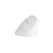 Bezdrôtová myš Natec CRAKE 2/Kancelárska/Optická/2 400 DPI/USB+BT/Biela/Vertikálna/Optická/Pre pravák
