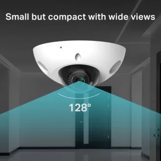 VIGI C230 Mini (2.8mm) 2MP Dome Network Cam VIGI C230 Mini (2.8mm) 2MP Dome Network Cam