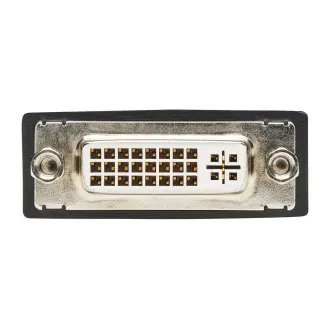 Video adaptér DisplayPort / DVI (Samec/Samice), 15.2cm