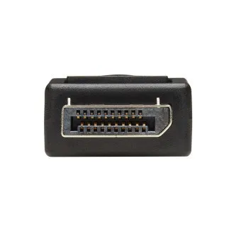 Video adaptér DisplayPort / DVI (Samec/Samice), 15.2cm