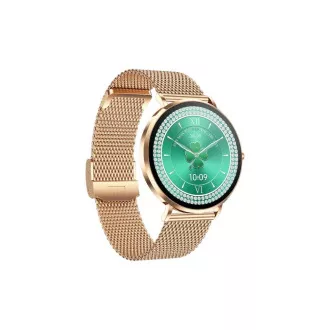 CARNEO Phoenix HR+ 2nd Gen/41mm/Gold/Elegant Band/Gold