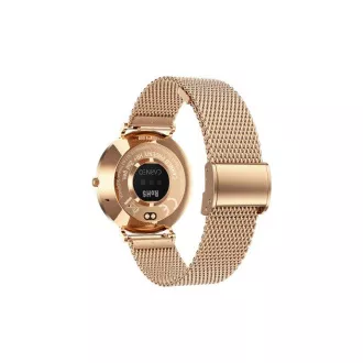 CARNEO Phoenix HR+ 2nd Gen/41mm/Gold/Elegant Band/Gold