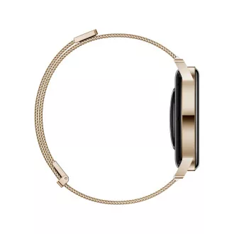 Huawei Watch GT 3/Gold/Elegant Band/Gold