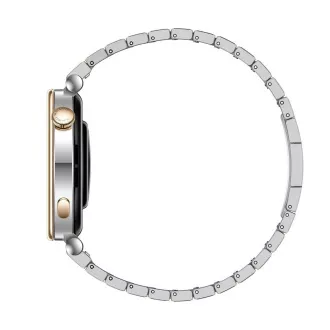 Huawei Watch GT 4/41mm/Silver/Elegant Band/Silver Huawei Watch GT 4/41mm/Silver/Elegant Band/Silver