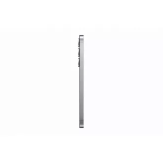 Samsung Galaxy S25+/12GB/256GB/Silver