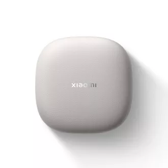 Xiaomi OpenWear Stereo Pro Titan Gray