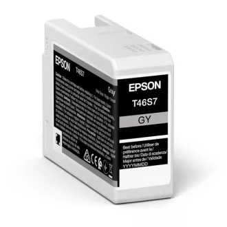 Farba do tlačiarne Epson C13T46S700 - cartridge, gray (sivá)