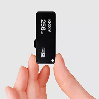 Kioxia USB flash disk, USB 3.0, 256GB, Yamabiko U365, Yamabiko U365, čierny, LU365K256GG4