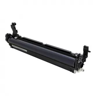 Toner Ricoh D2442209, black (čierny)