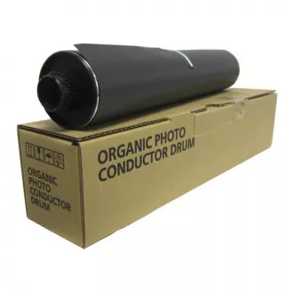Toner Ricoh D0099510, black (čierny)