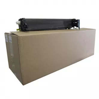 Ricoh D1442251 - optická jednotka, black (čierna)