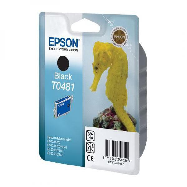 EPSON T0481 (C13T04814010) - originálny