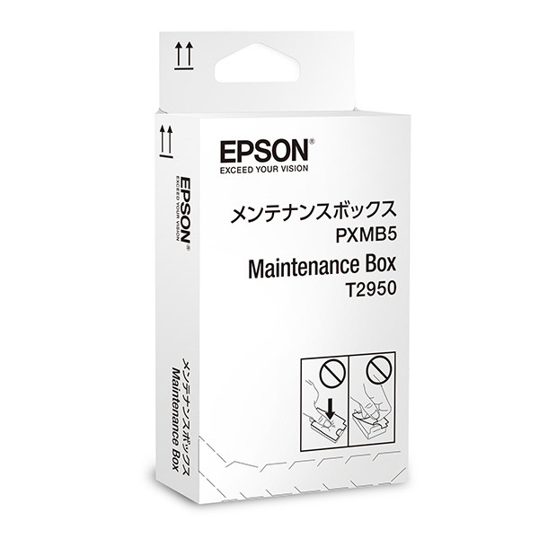 EPSON T2950 (C13T295000) - originálny
