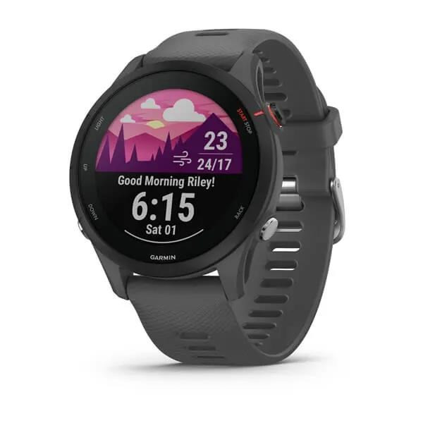 Garmin GPS športové hodinky Forerunner® 255, Slate Gray